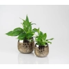 OSŁONKA CERAMICZNA STARE ZŁOTO 18CM